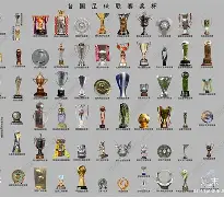 万博全站-挪威足球比赛